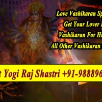 no1 vashikaran specialist babaji